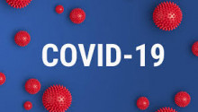 normativa covid
